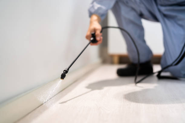 Certified termite inspector examining foundation in Meadows Place